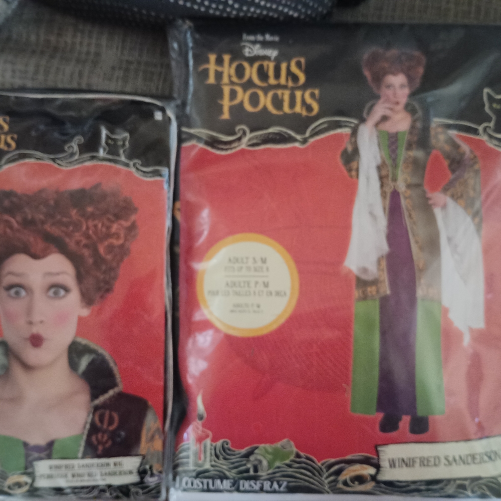 Disney Hocus Pocus Winifred Sanderson Costume - Green and Purple